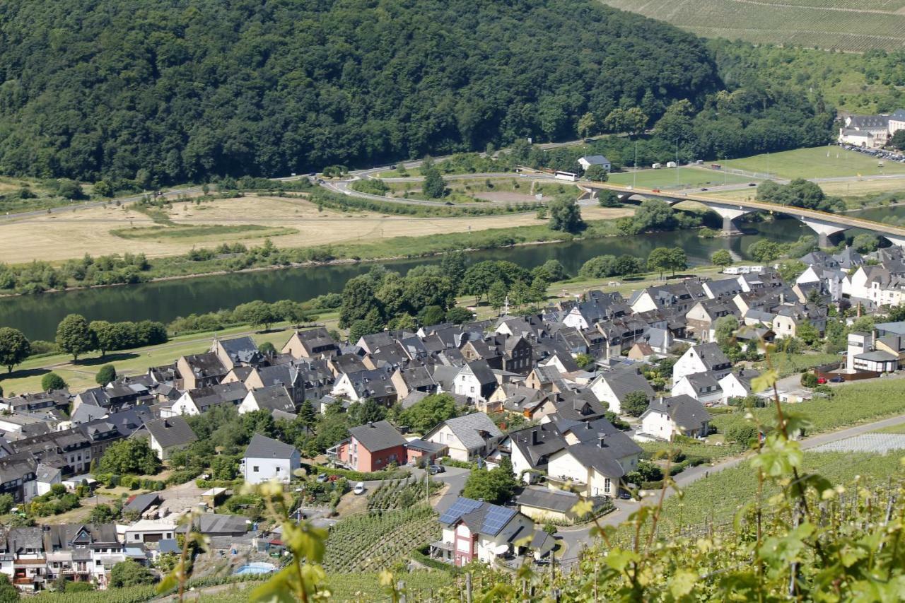 Ferienhaus Moselblick Mit Kostenfreien Oepnv-Ticket Ürzig Exteriér fotografie
