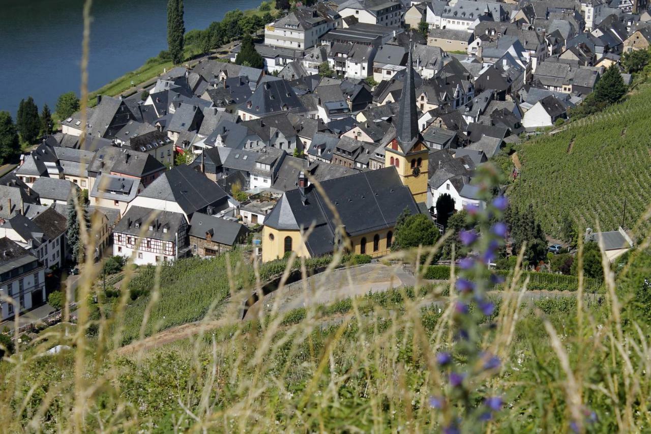 Ferienhaus Moselblick Mit Kostenfreien Oepnv-Ticket Ürzig Exteriér fotografie