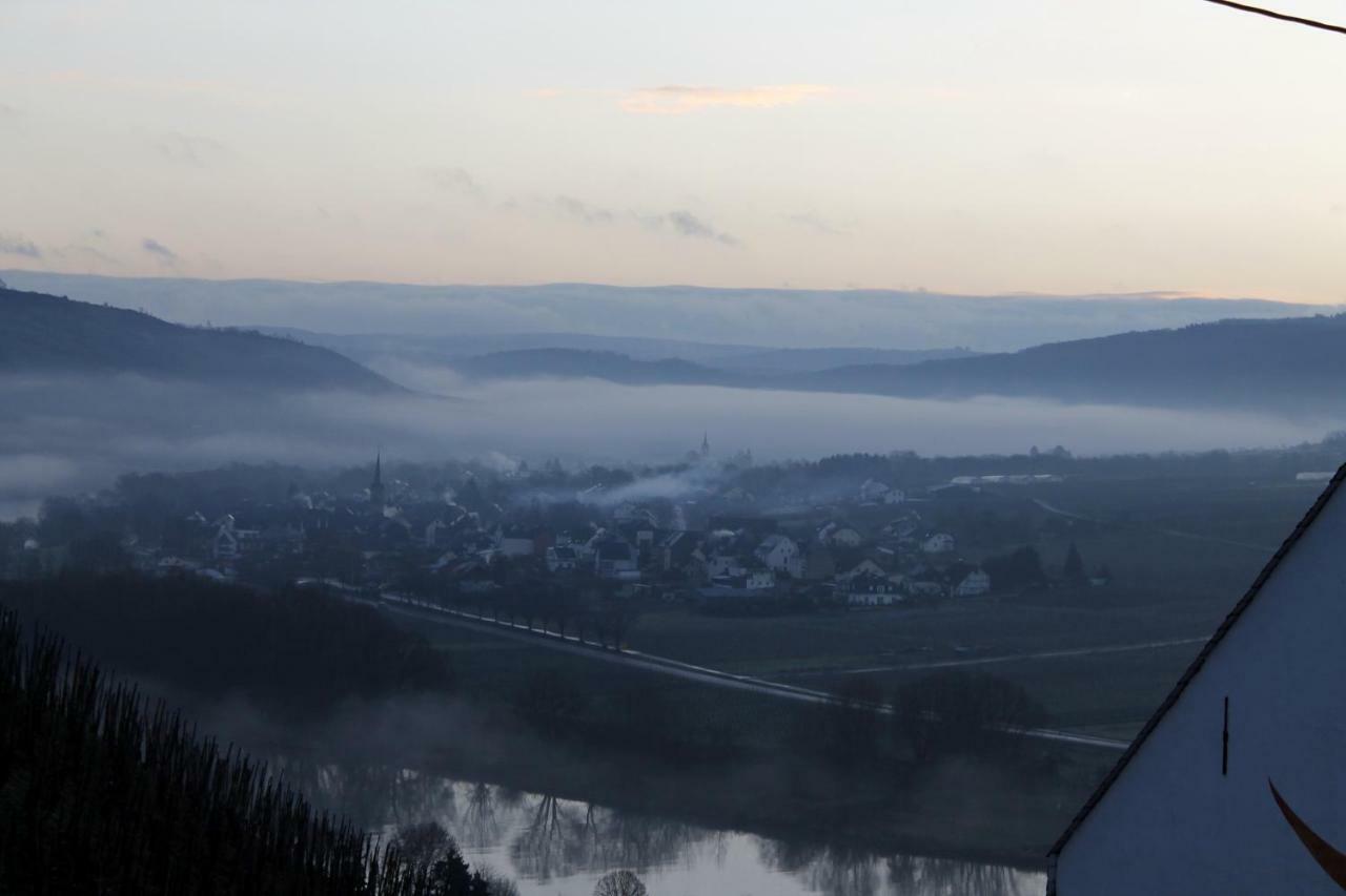 Ferienhaus Moselblick Mit Kostenfreien Oepnv-Ticket Ürzig Exteriér fotografie